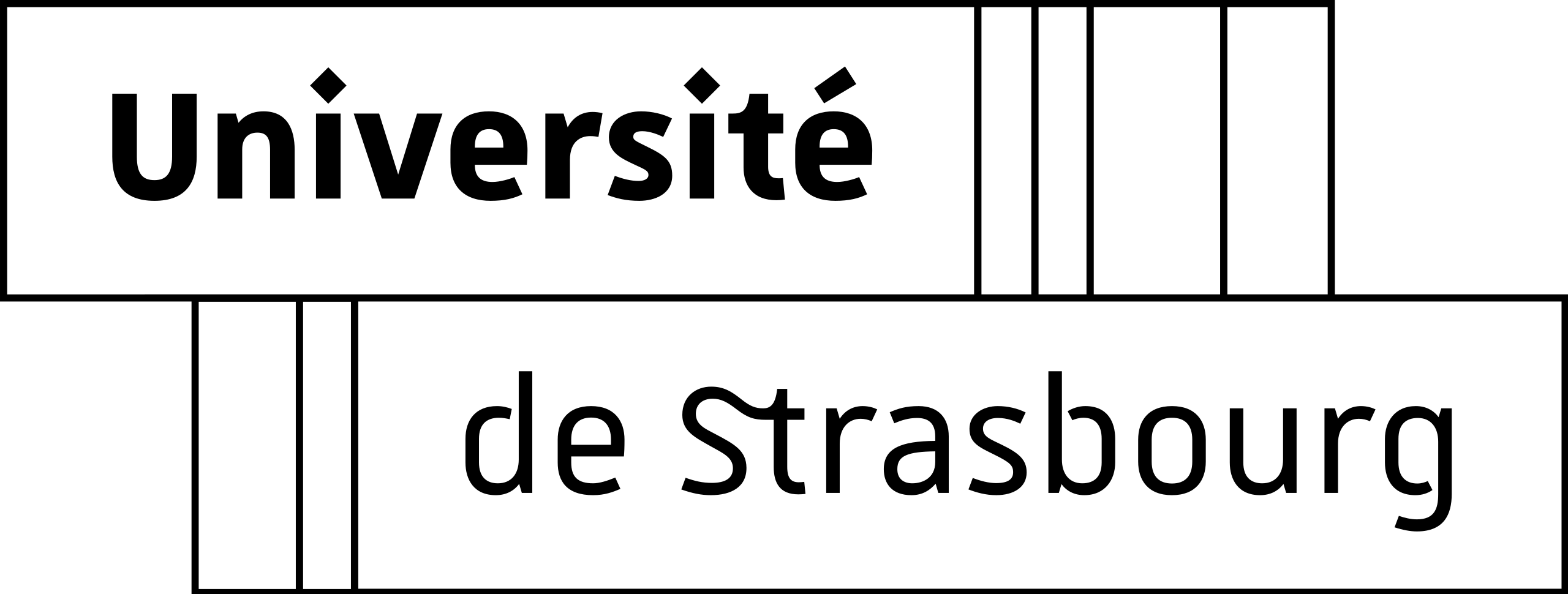 University of Strasbourg